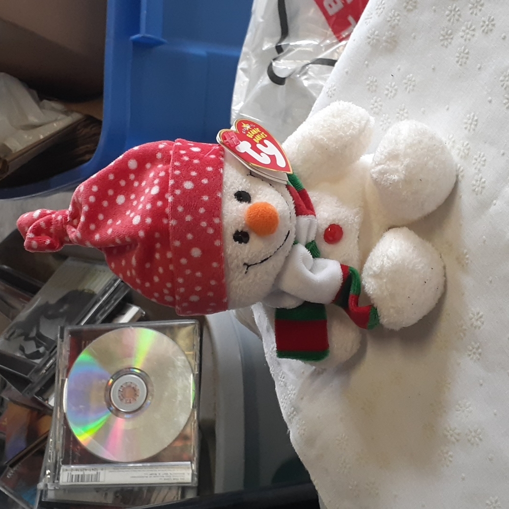 Freezie TY Beanie Baby